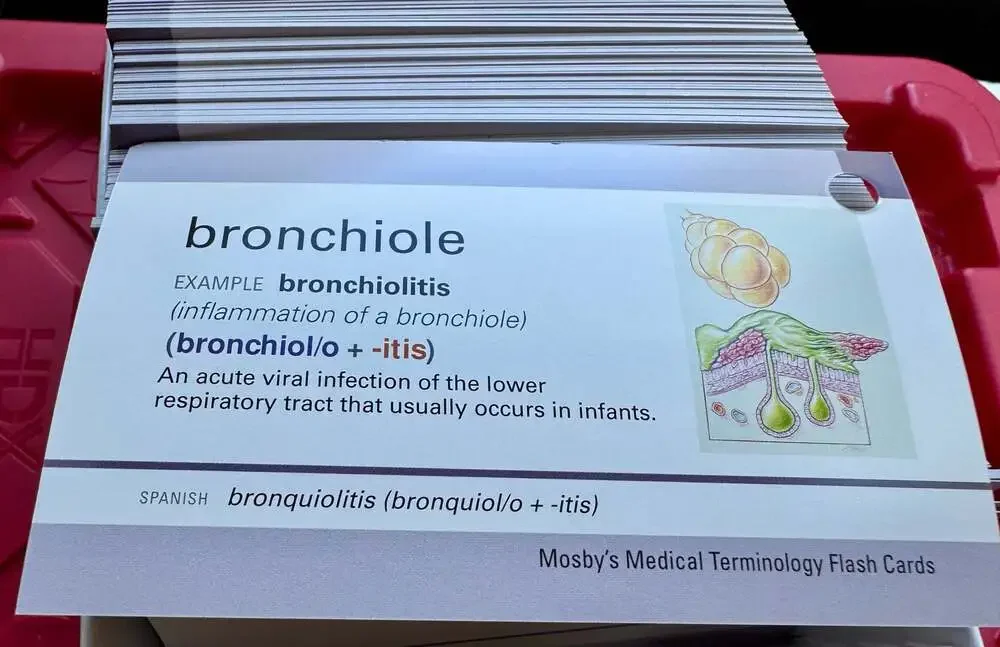 Mosby's Medical Terminology Flash Cards 3rd Edition:211-599